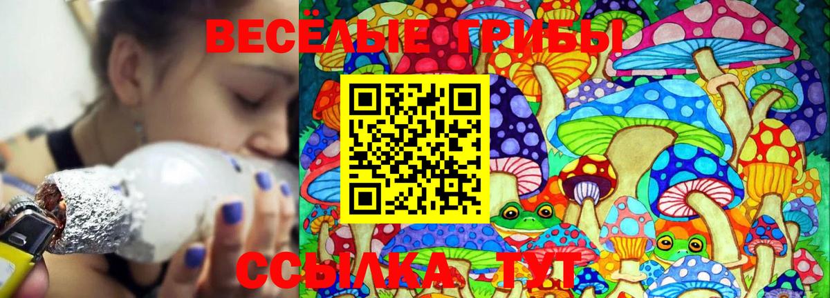 Симферополь  Псилоцибиновые грибы Magic Shrooms  Вход с VPN 