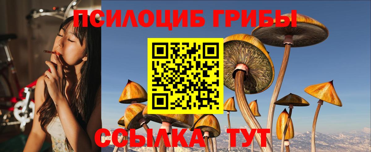 Псилоцибиновые грибы мухоморы Симферополь